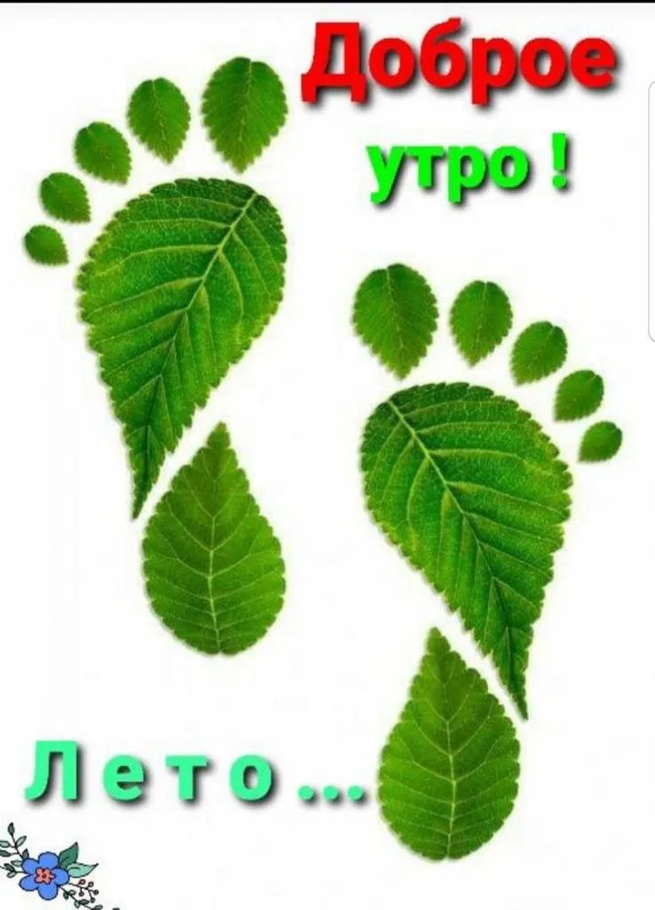 Tapтaлeтки & Ко