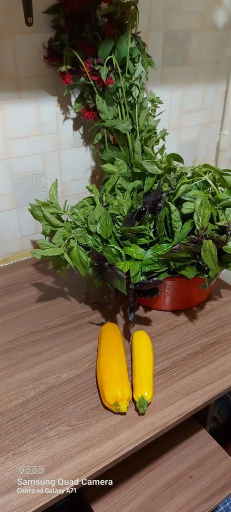 Tapтaлeтки & Ко