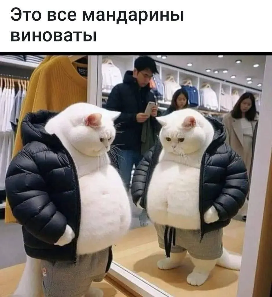 Посмеялся сам - поделись с другом!!!