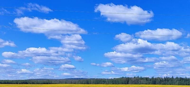 Такое разное небо