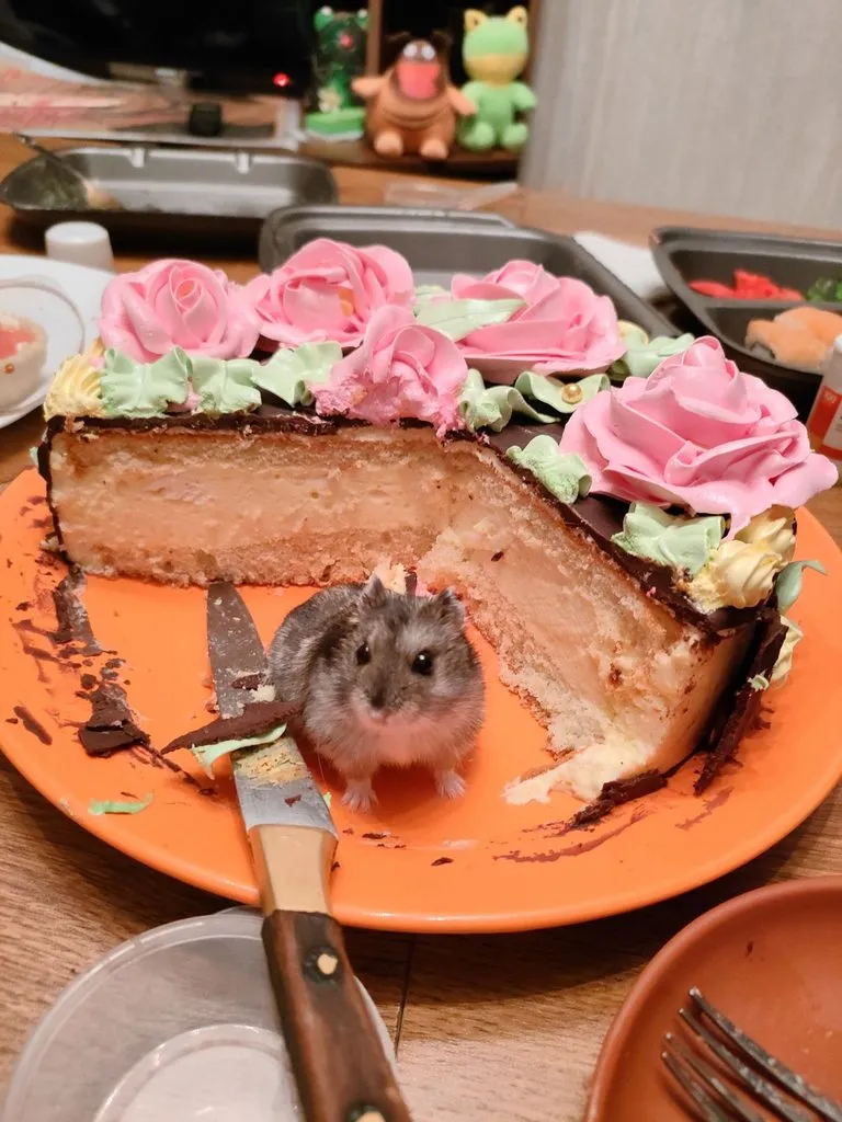 Чайная беседка