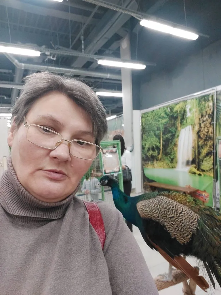 Чайная беседка
