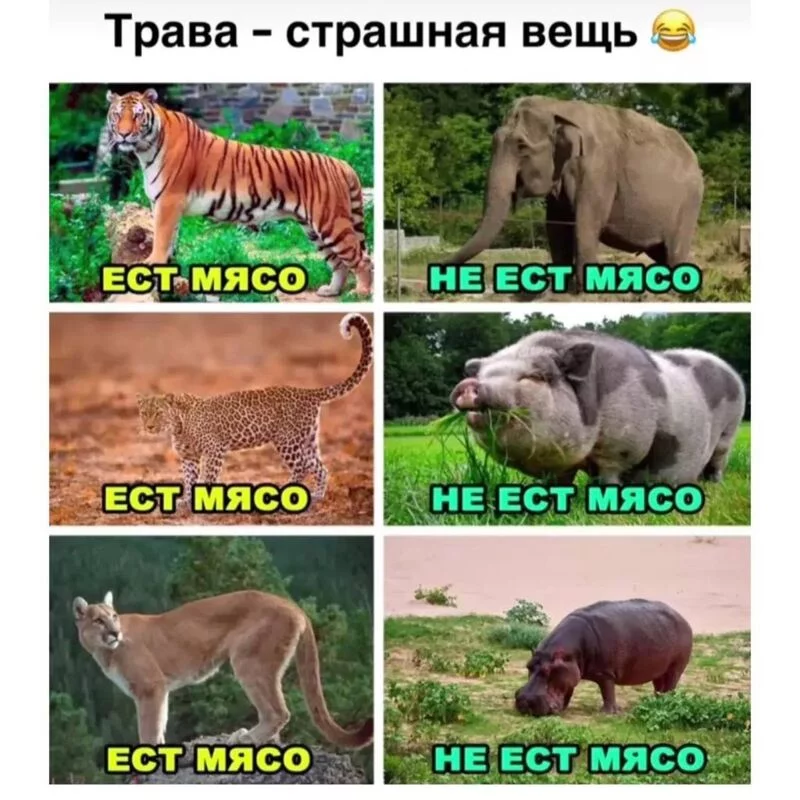 Посмеялся сам - поделись с другом!!!