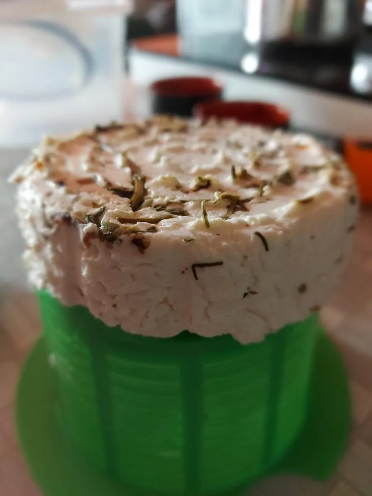 Tapтaлeтки & Ко