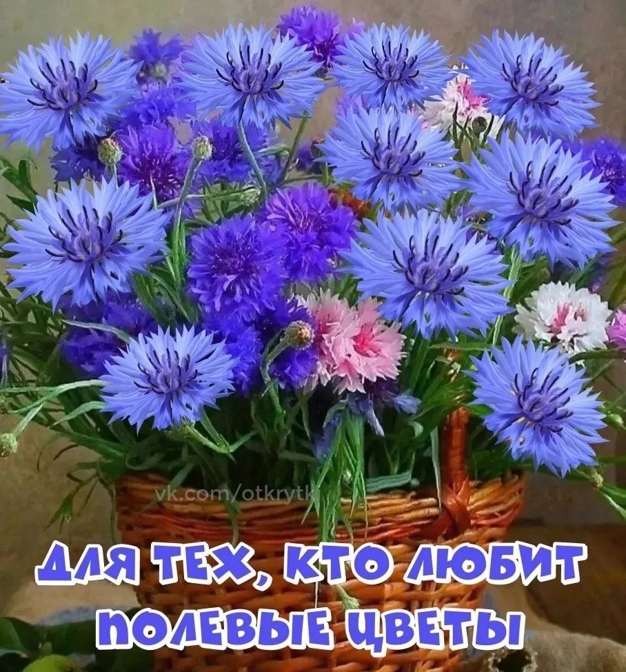 Кафе "У пани Сони"
