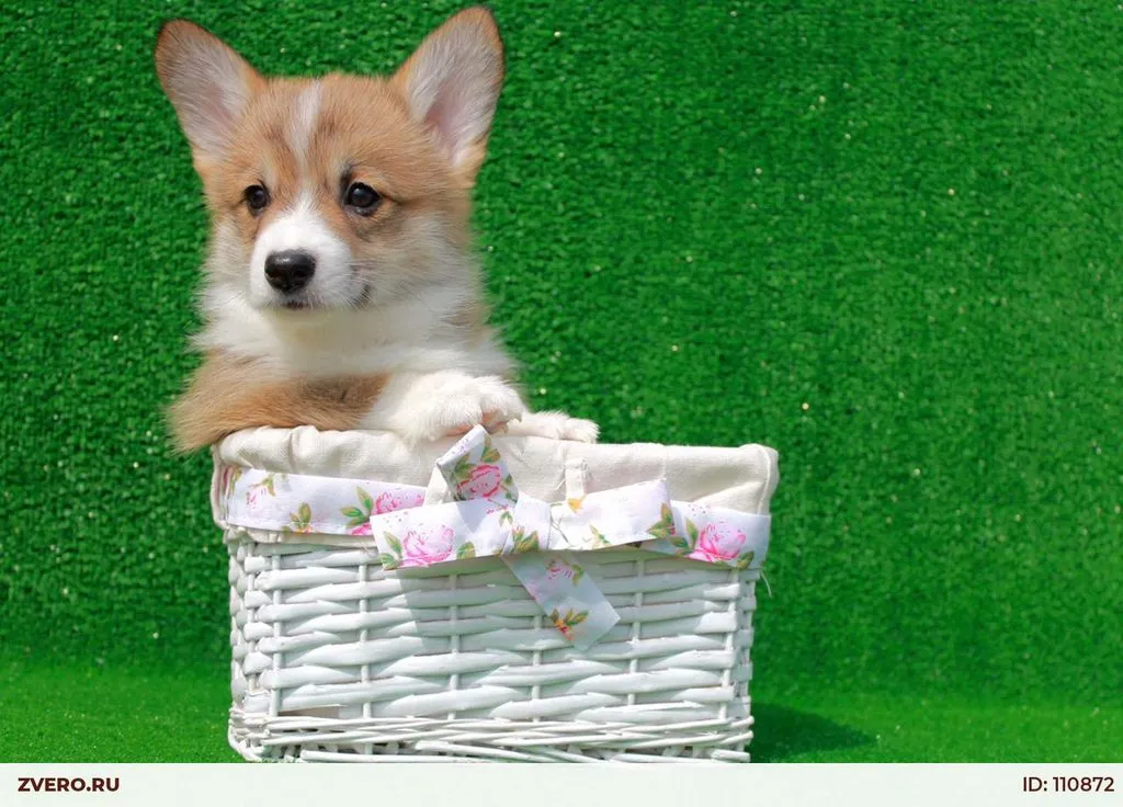 Посмеялся сам - поделись с другом!!!