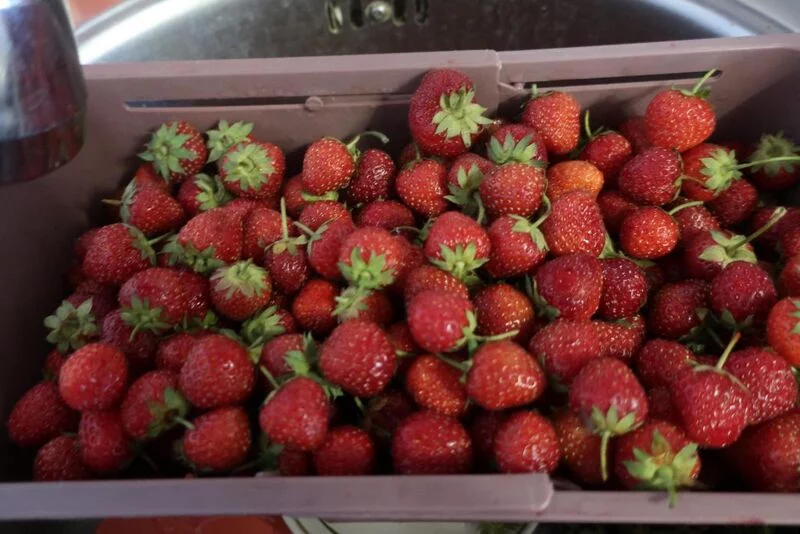 Чайная беседка