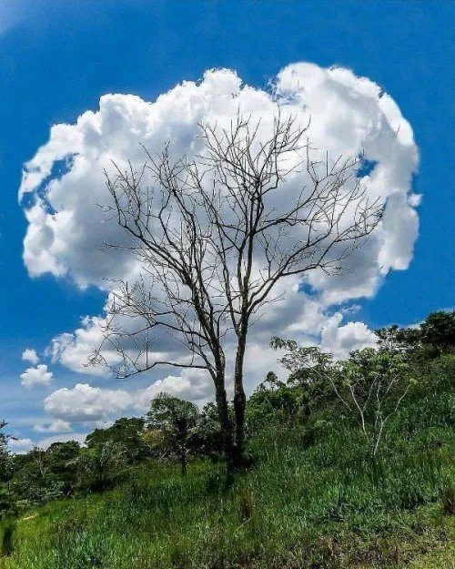 Такое разное небо