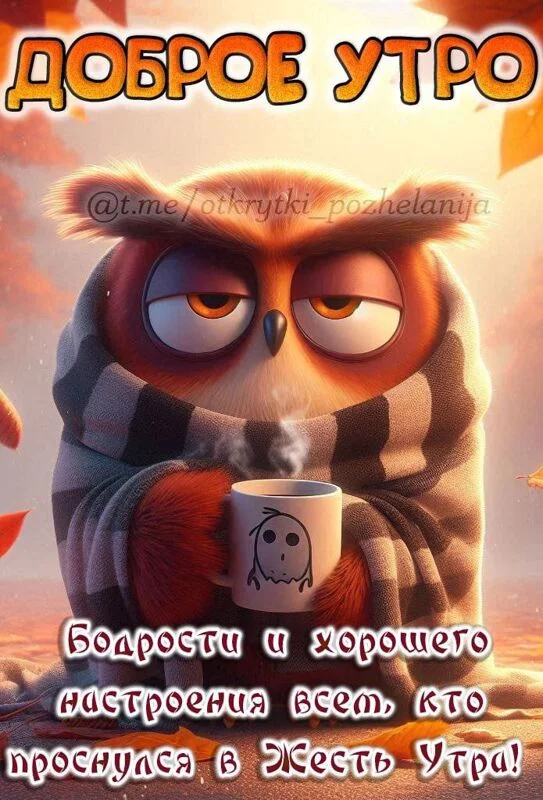 Кафе "У пани Сони"