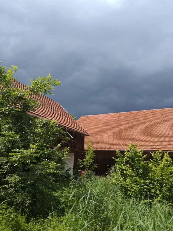 Чайная беседка