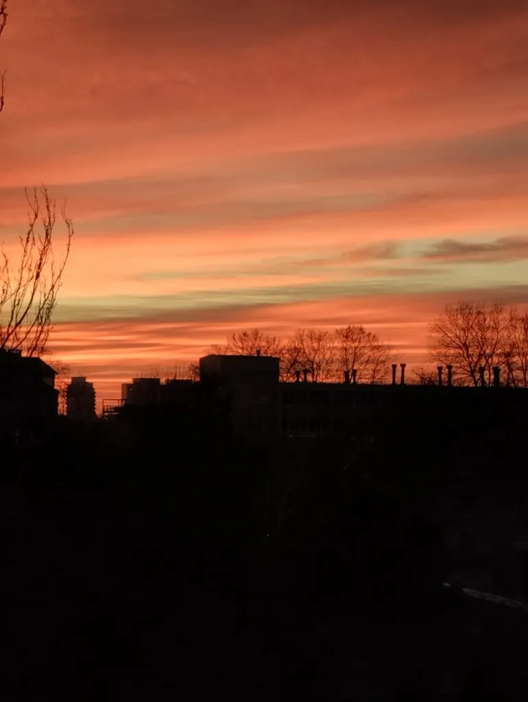 Чайная беседка