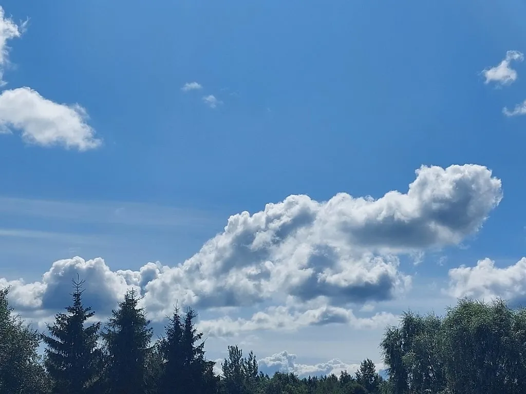 Такое разное небо