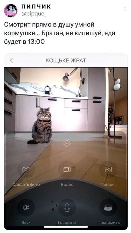 Посмеялся сам - поделись с другом!!!