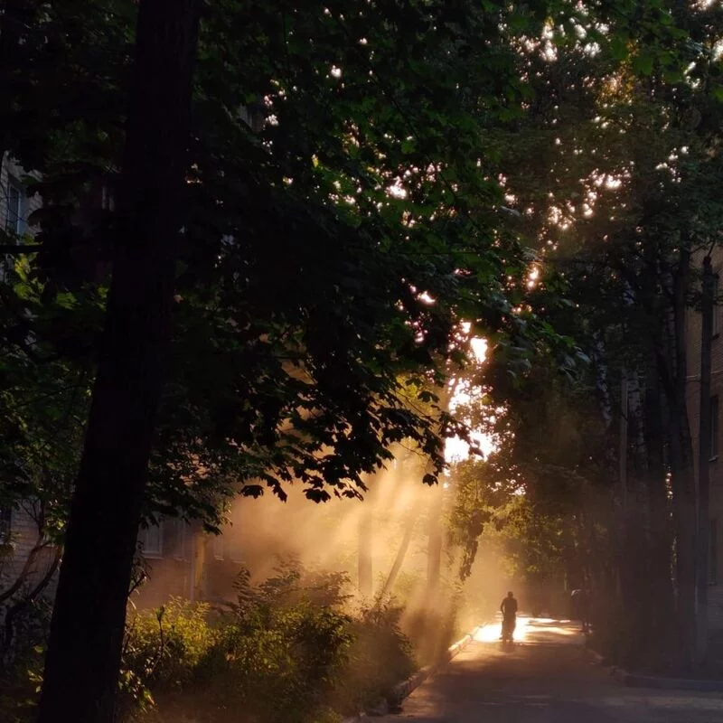 Фотонастроение