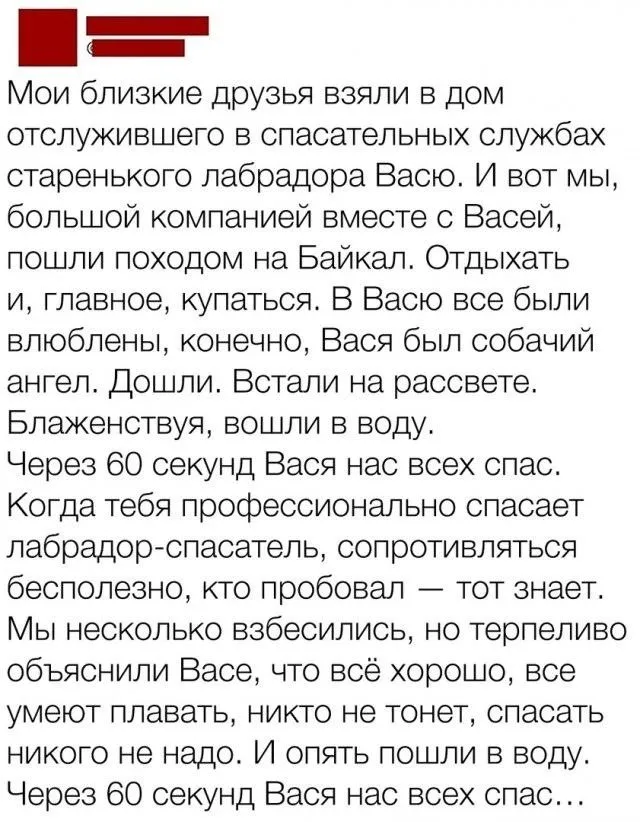 Посмеялся сам - поделись с другом!!!