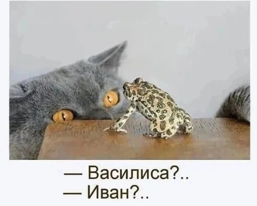 Посмеялся сам - поделись с другом!!!