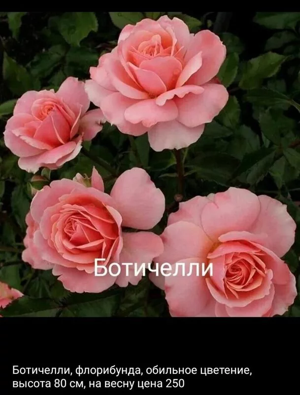 Загородная жизнь - обустройство на своей земле во всем ее разнообразии