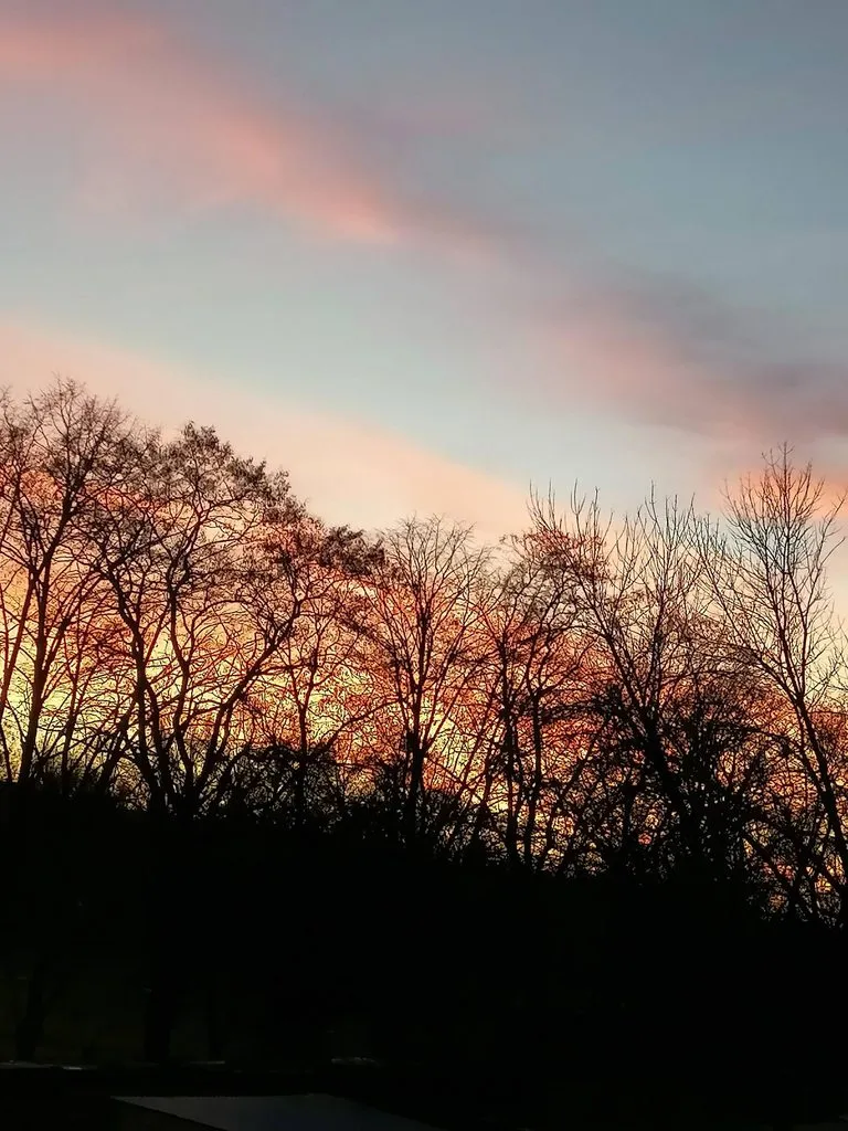 Такое разное небо