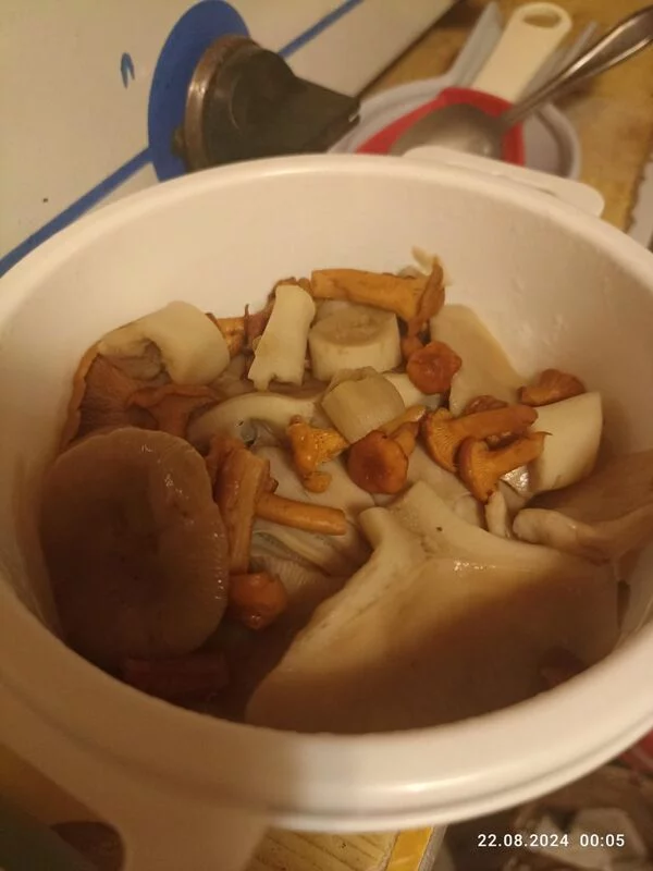 По грибы с лукошком