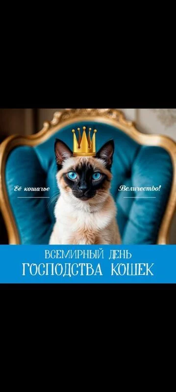 Кафе "У пани Сони"