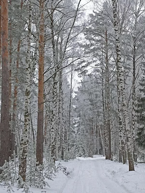 Фотонастроение