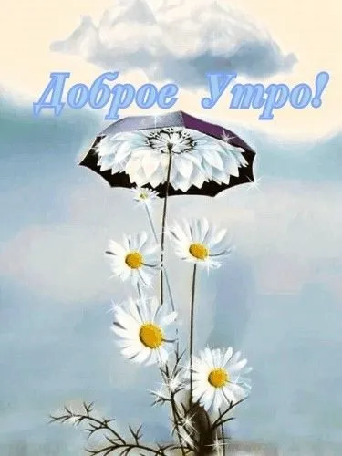 Tapтaлeтки & Ко