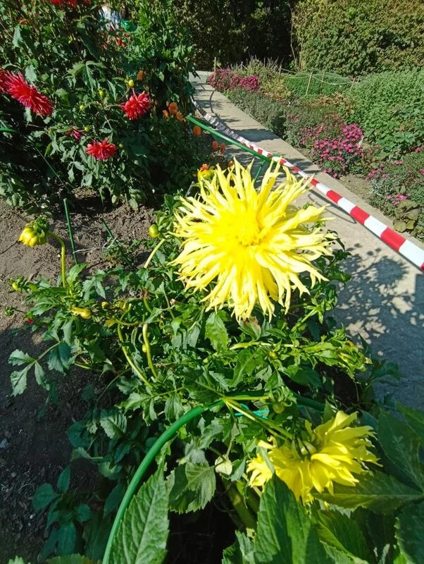 Владивосток - "золото" Дальнего Востока