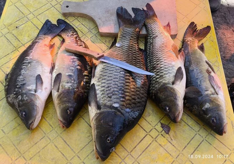 Чайная беседка