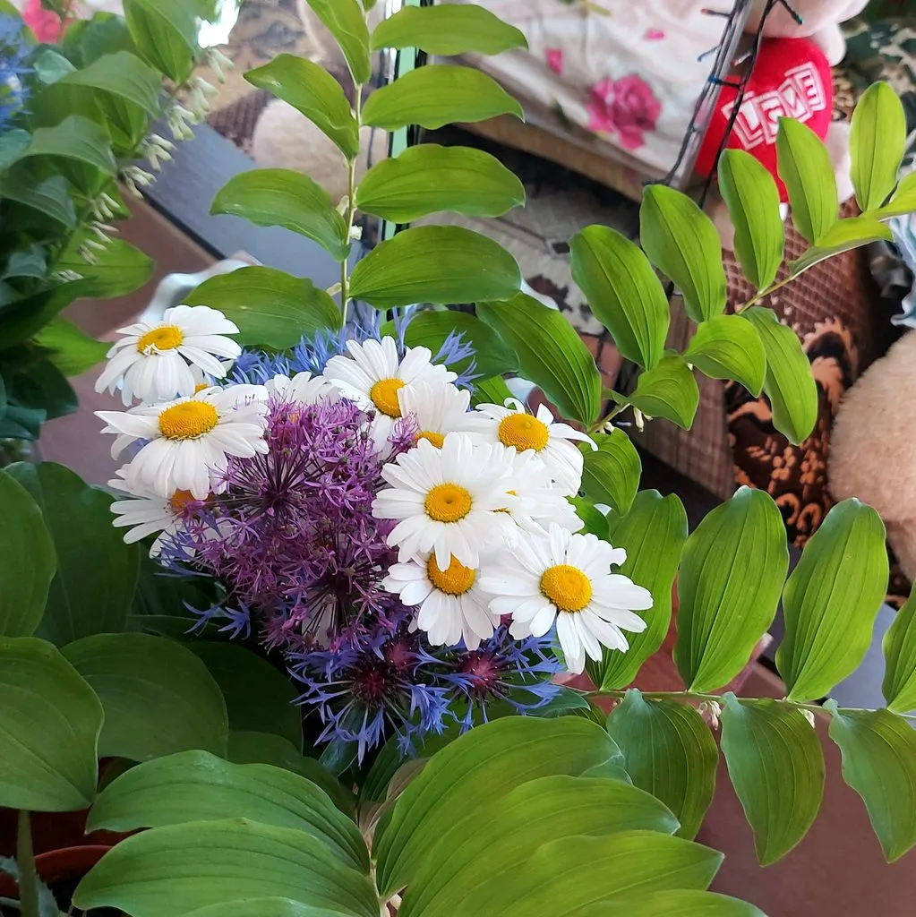 Чайная беседка