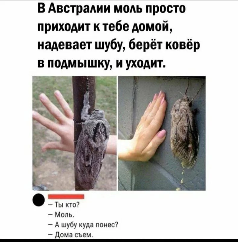 Посмеялся сам - поделись с другом!!!