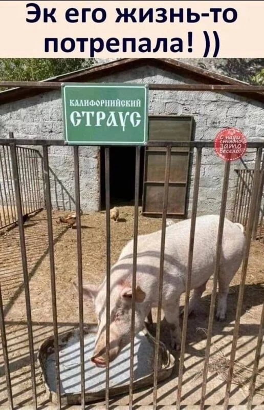 Посмеялся сам - поделись с другом!!!