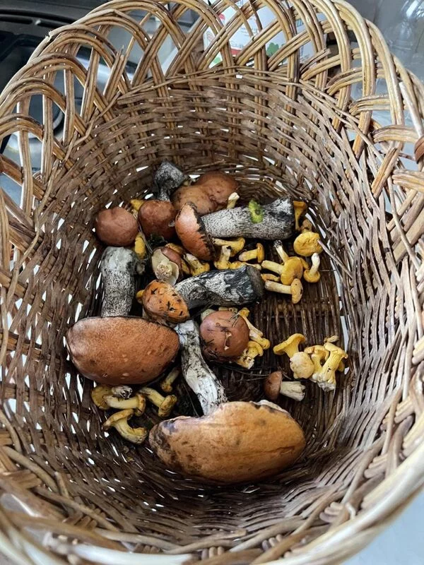 Чайная беседка