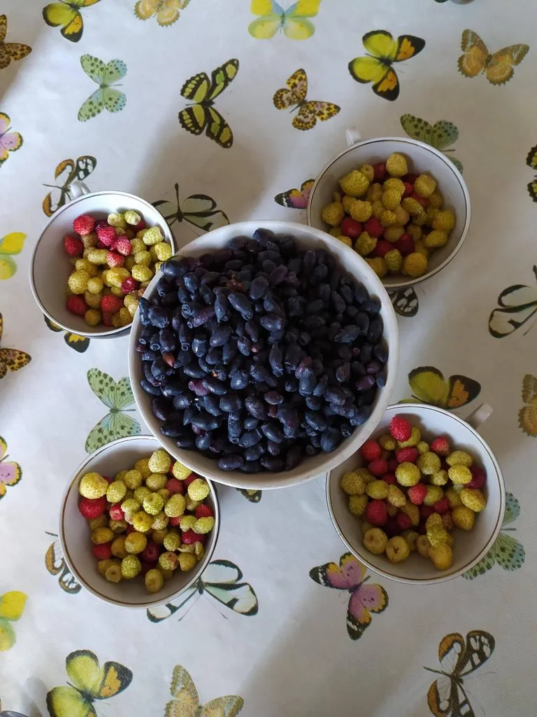 Чайная беседка