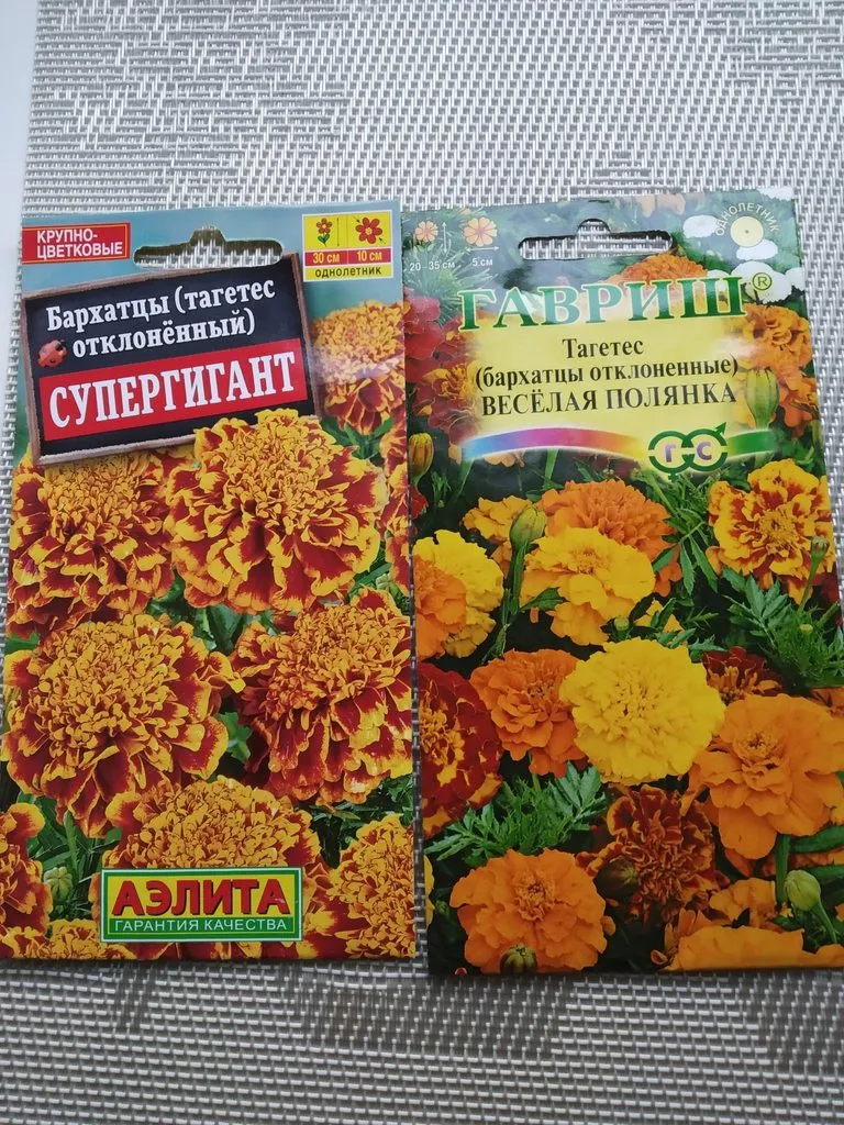 Как вырастить рассаду бархатцев?