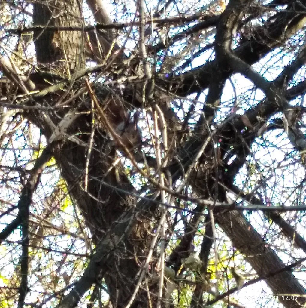 Tapтaлeтки & Ко