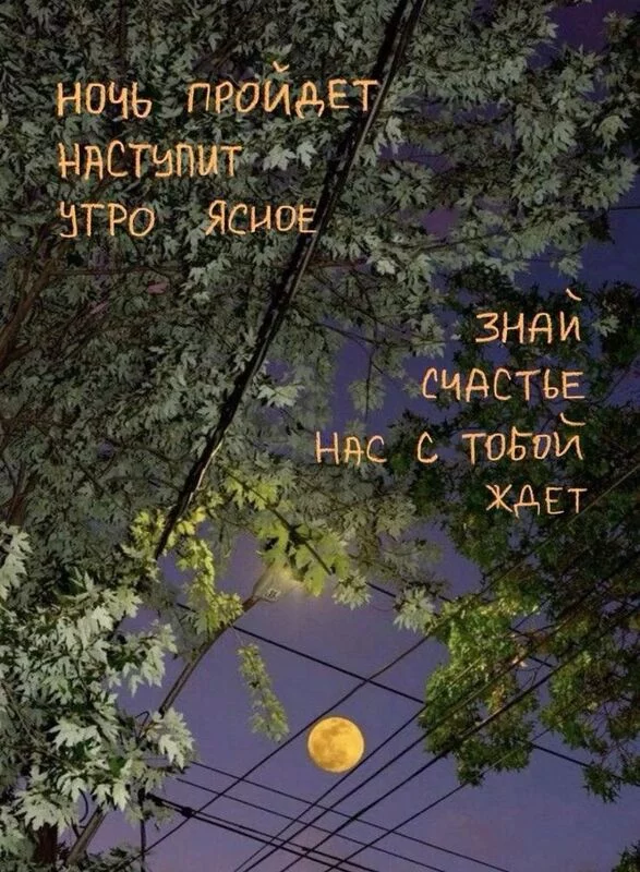 Кафе "У пани Сони"
