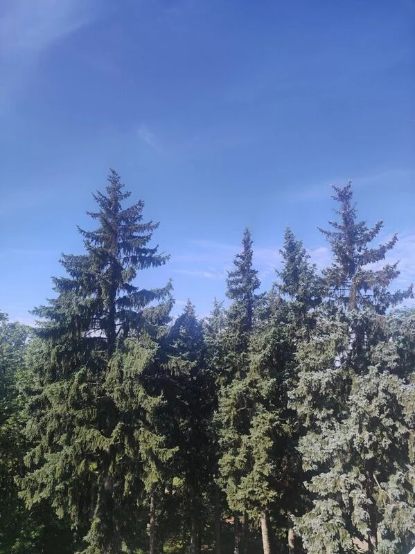Чайная беседка