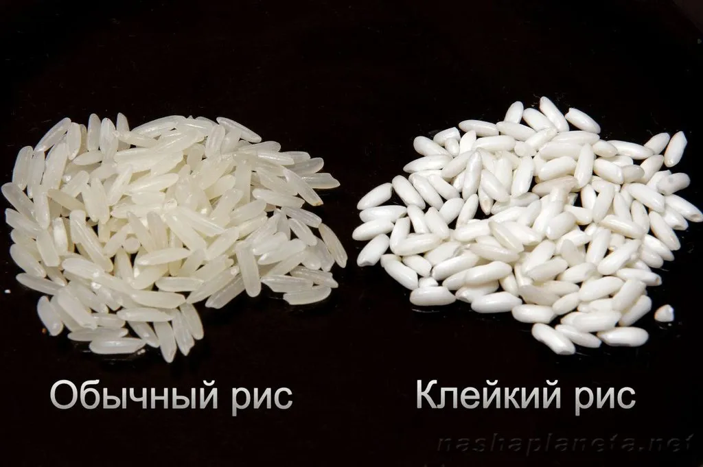 Умная МИНИ рисоварка Xiaomi MiJia Smart Rice Cooker 1,6 л.