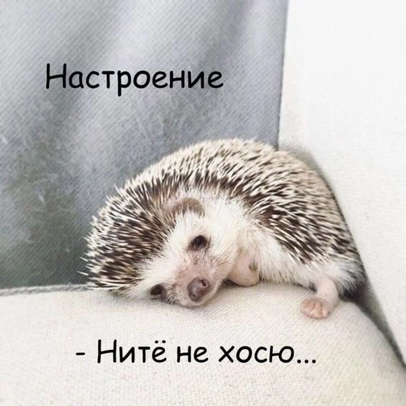 Кафе "У пани Сони"