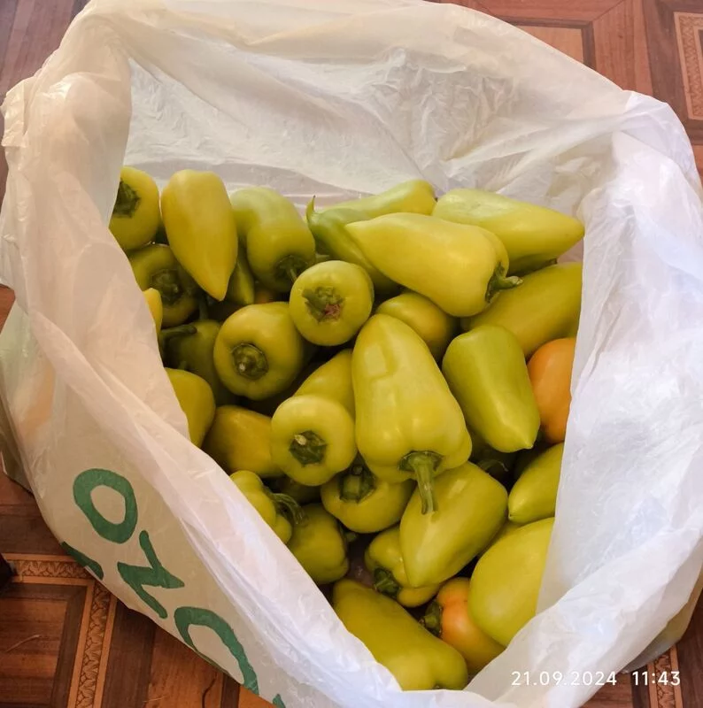 Чайная беседка