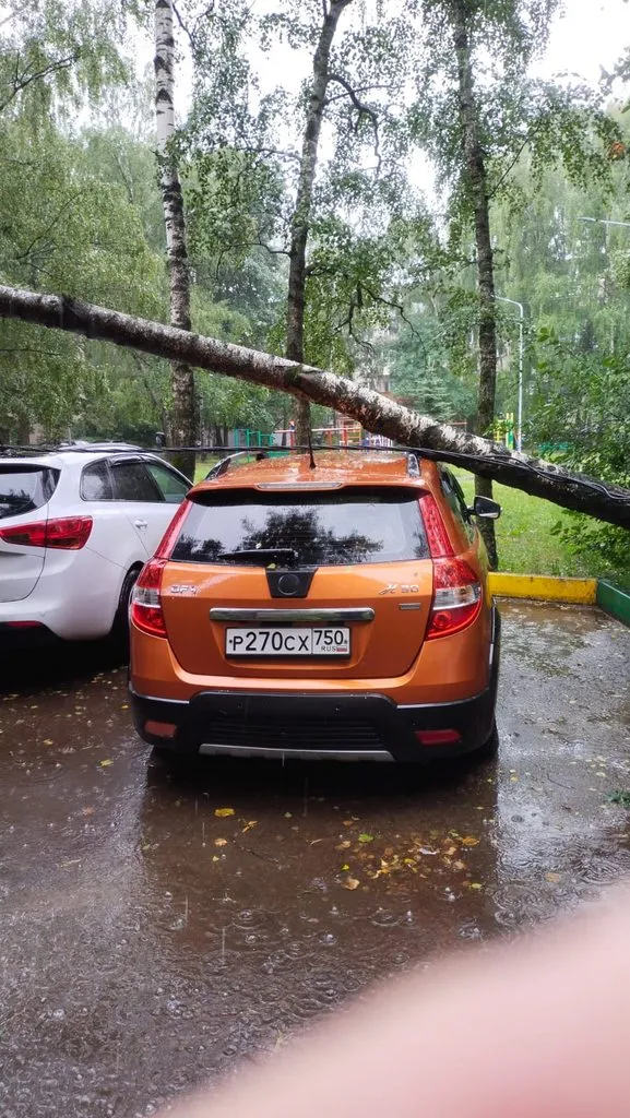 Чайная беседка