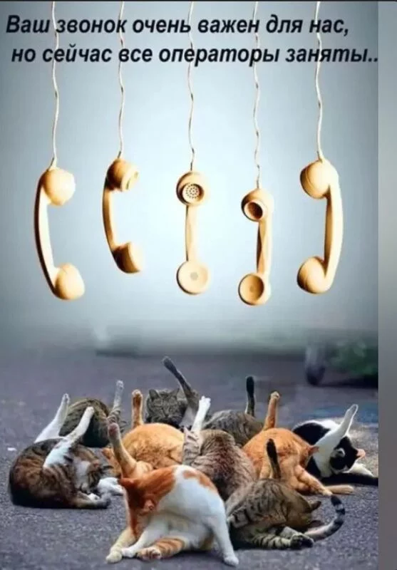 Посмеялся сам - поделись с другом!!!