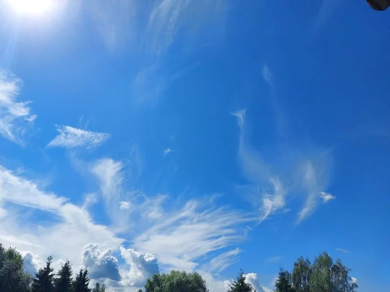 Такое разное небо