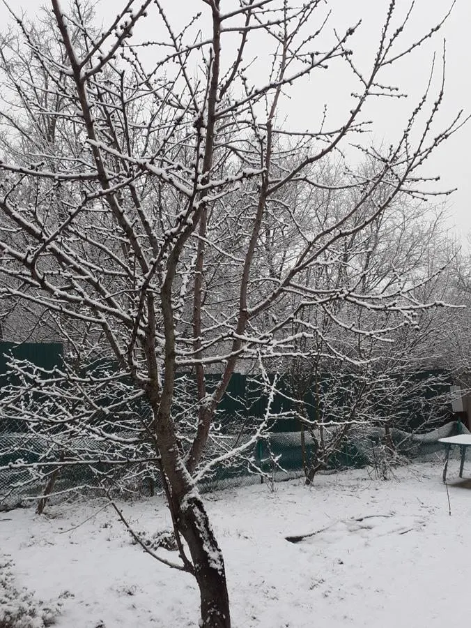 Чайная беседка