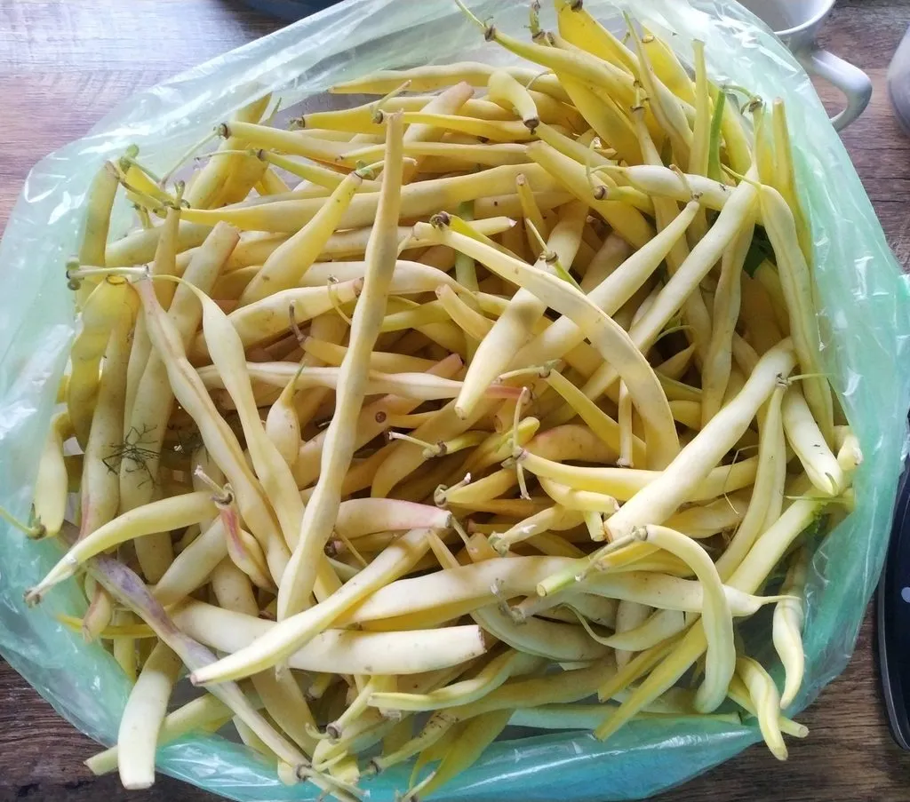Кафе «У пани Сони»