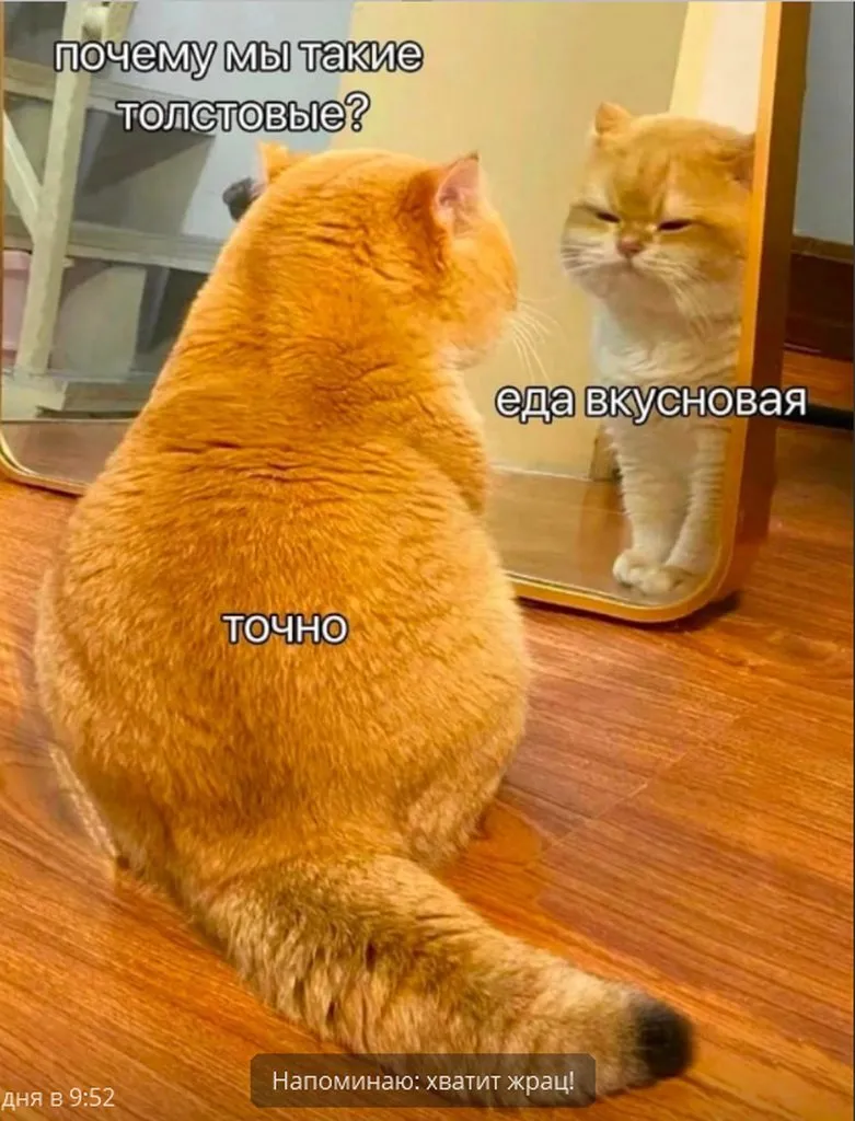 Посмеялся сам - поделись с другом!!!