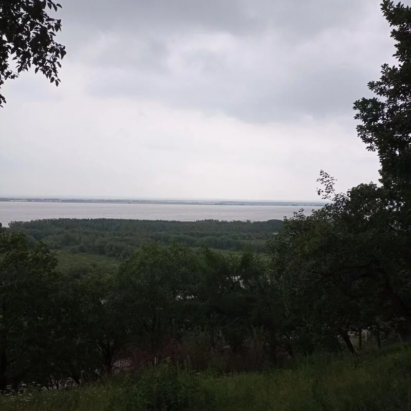 Флора