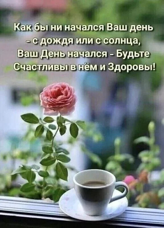 Кафе "У пани Сони"