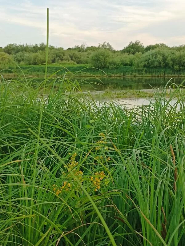 Фотонастроение