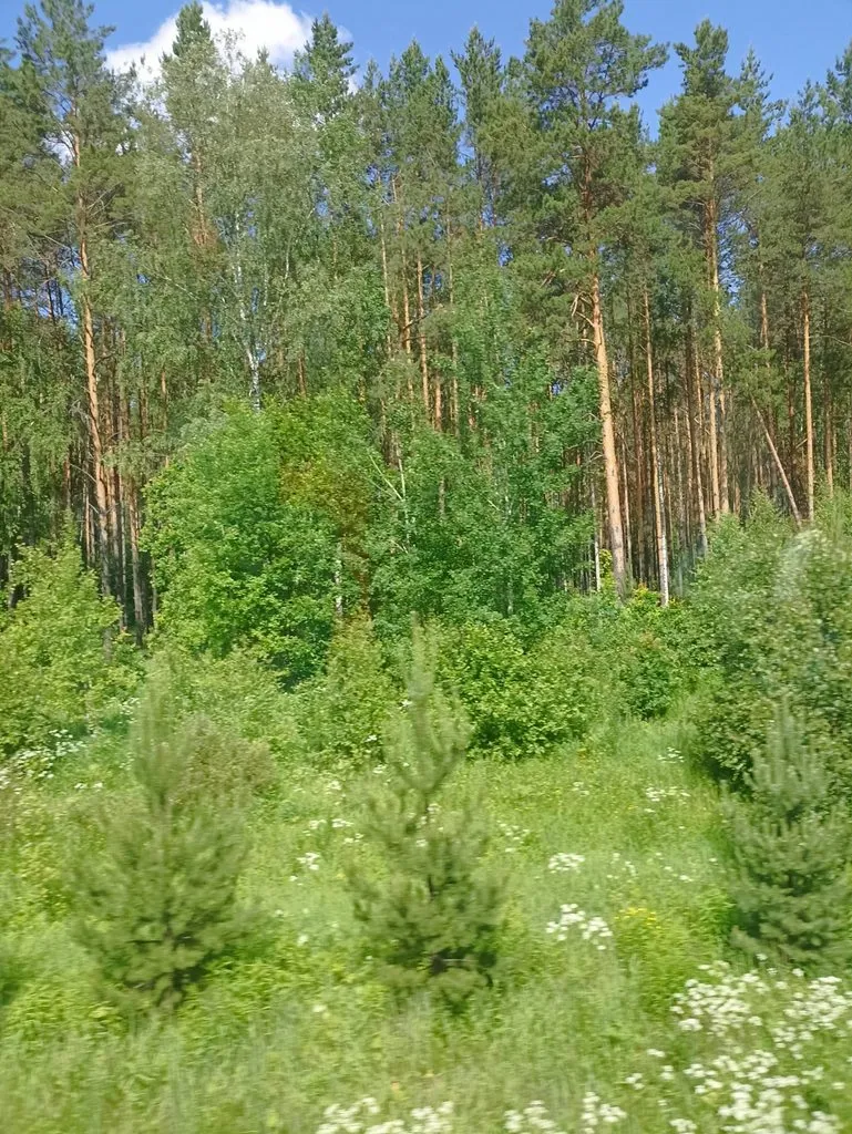 Фотонастроение